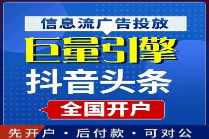 某行业领军企业的SEM广告投放策略